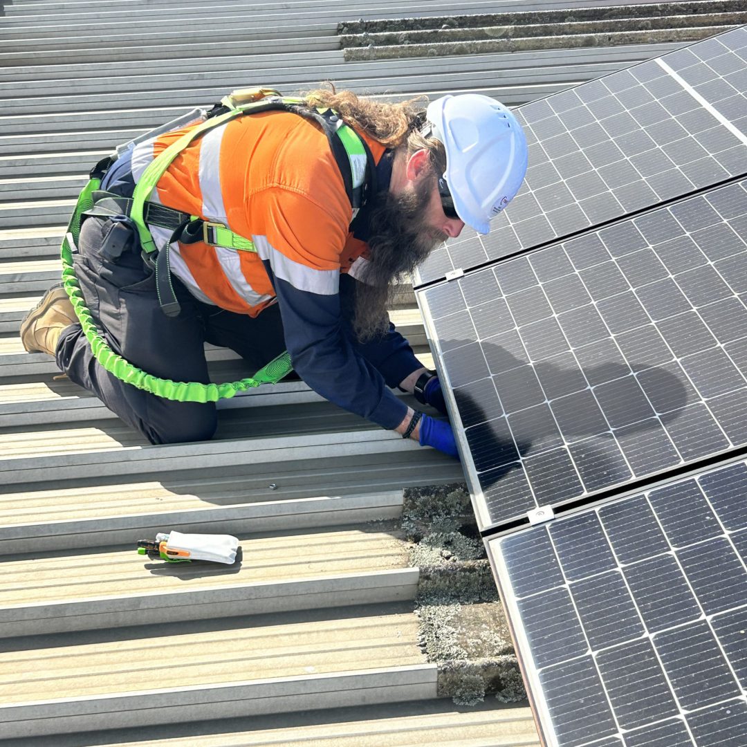 solar panel cleaning